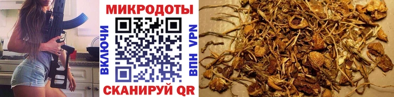 Галлюциногенные грибы Cubensis  Армянск 